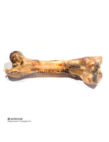 Hueso de jamón