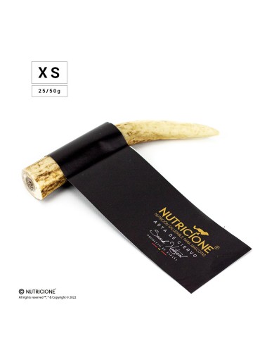 XS-Snack Asta de ciervo natural para perros.