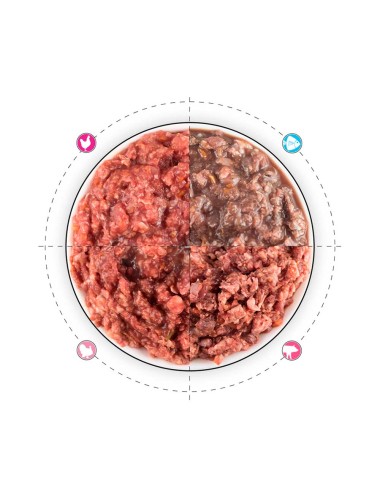 cuenco de carne barf 4 tipos