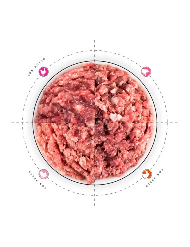 plato barf  plato todo carne 4 tipos