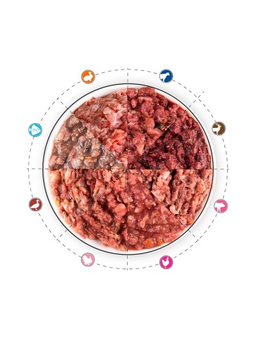 plato con 8 tipos de barf