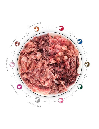 cuenco con 10 tipos de carne barf