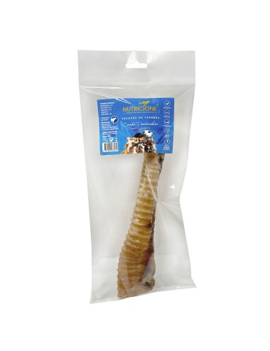 Tráquea de Ternera Deshidratada - 1ud