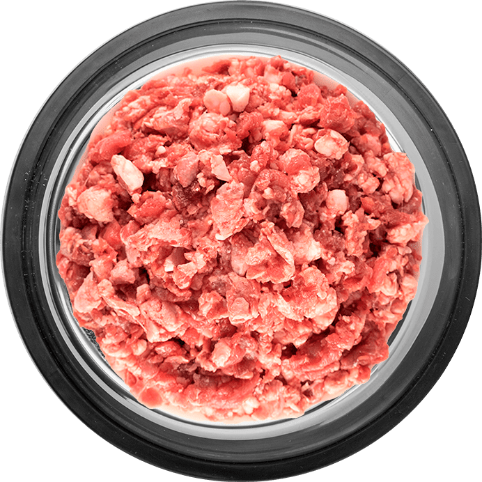 Dieta BARF todo carne para gatos