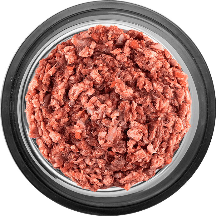 Plato con comida barf para perros