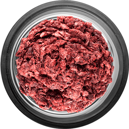 plato carne cruda barf