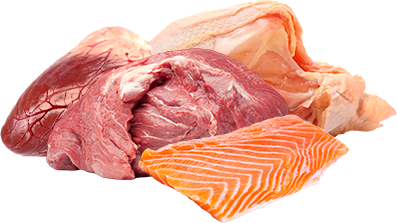 Carne y pescado para gatos