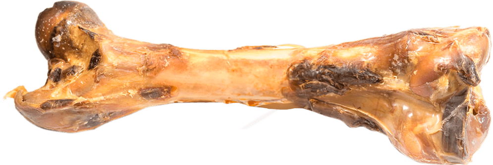 snack de hueso para perros 