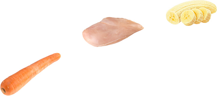 Carne frutas y verduras para alimentación BARF