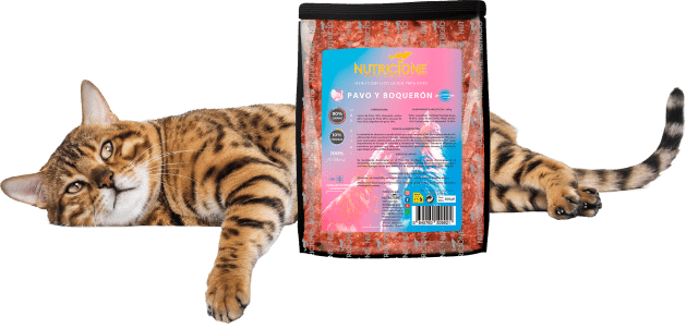 gato con rayas al lado de un paquete de barf