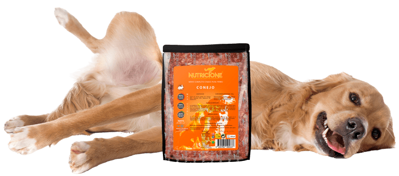 perro tumbado al lado de un paquete de barf