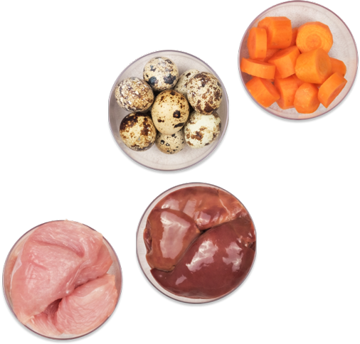 Cuatro bowls con comida cruda