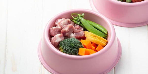 Transición de pienso a la dieta BARF 